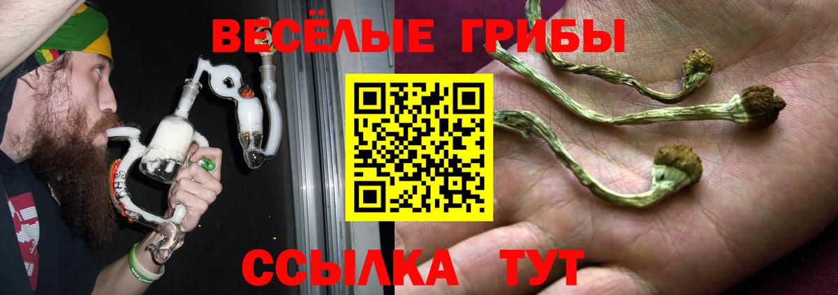 Ангарск  Псилоцибиновые грибы мухоморы  Галлюциногенные грибы мухоморы  Вход с VPN 